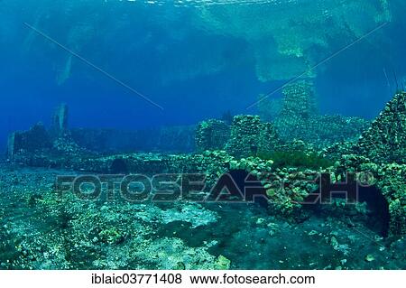 "Underwater world of the lake Lago Capo d'Acqua, Capistrano, L'Aquila, Italy, Europe" View Large Photo Image Stock Photo - "Underwater world of the lake Lago Capo d'Acqua, Capistrano, L'Aquila, Italy, Europe". Fotosearch