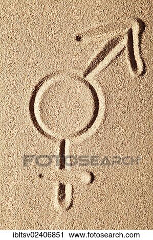 "Unisex symbol, drawn in sand" View Large Photo Image Stock Image - "Unisex symbol, drawn in sand". Fotosearch