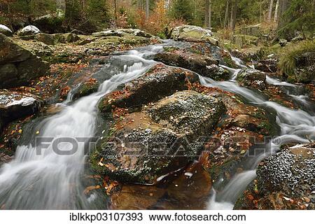 "Unterer Bodefall waterfall in autumn, Bode river, Braunlage, Lower Saxony, Germany, Europe" View Large Photo Image Stock Image - "Unterer Bodefall waterfall in autumn, Bode river, Braunlage, Lower Saxony, Germany, Europe". Fotosearch