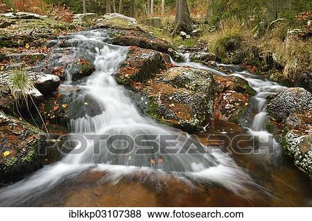 "Unterer Bodefall waterfall in autumn, Bode river, Braunlage, Lower Saxony, Germany, Europe" View Large Photo Image Stock Photo - "Unterer Bodefall waterfall in autumn, Bode river, Braunlage, Lower Saxony, Germany, Europe". Fotosearch