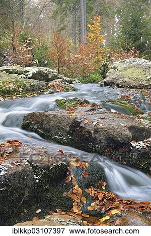 "Unterer Bodefall waterfall in autumn, Bode river, Braunlage, Lower Saxony, Germany, Europe" View Large Photo Image Stock Photo - "Unterer Bodefall waterfall in autumn, Bode river, Braunlage, Lower Saxony, Germany, Europe". Fotosearch
