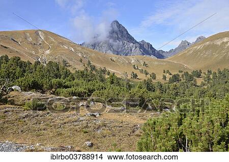 "Upper Val Minger, Swiss National Park, Lower Engadine, Canton of Grisons, Switzerland, Europe" View Large Photo Image Picture - "Upper Val Minger, Swiss National Park, Lower Engadine, Canton of Grisons, Switzerland, Europe". Fotosearch