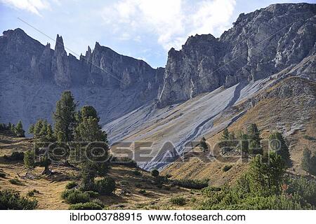 Stock Photography - "Upper Val Minger, Swiss National Park, Lower Engadine, Canton of Grisons, Switzerland, Europe". Fotosearch