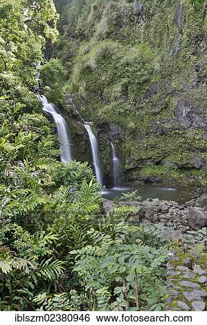 "Upper Waikani Falls or Three Bear Falls, waterfalls on the Road to Hana, a famous tourist road, east coast of the island of Maui, Hawai'i, Hawaii, USA" View Large Photo Image Stock Photograph - "Upper Waikani Falls or Three Bear Falls, waterfalls on the Road to Hana, a famous tourist road, east coast of the island of Maui, Hawai'i, Hawaii, USA". Fotosearch