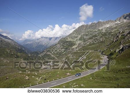 "Uri Alps, Susten Pass, Canton of Bern, Switzerland, Europe" View Large Photo Image Stock Photograph - "Uri Alps, Susten Pass, Canton of Bern, Switzerland, Europe". Fotosearch