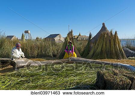 "Uros working on the floating islands of the Uros on Lake Titicaca, Puno Region, Peru, South America" View Large Photo Image Stock Image - "Uros working on the floating islands of the Uros on Lake Titicaca, Puno Region, Peru, South America". Fotosearch