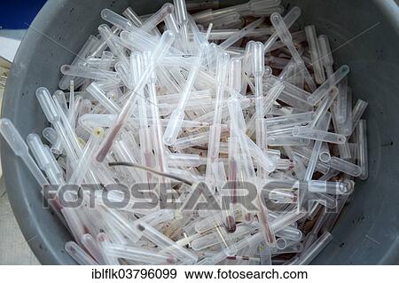 "Used test tubes and pipettes with blood samples in a waste container, Red Cross blood donation centre, Port-au-Prince, Haiti, North America" View Large Photo Image Stock Photo - "Used test tubes and pipettes with blood samples in a waste container, Red Cross blood donation centre, Port-au-Prince, Haiti, North America". Fotosearch