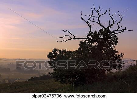 "Val d'Elsa with morning fog, Castelfiorentino, Tuscany, Italy, Europe" View Large Photo Image Stock Photograph - "Val d'Elsa with morning fog, Castelfiorentino, Tuscany, Italy, Europe". Fotosearch
