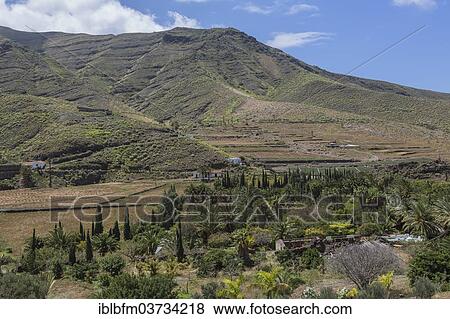 "Valle de Agaete valley, Agaete, Gran Canaria, Canary Islands, Spain, Europe" View Large Photo Image Stock Photo - "Valle de Agaete valley, Agaete, Gran Canaria, Canary Islands, Spain, Europe". Fotosearch
