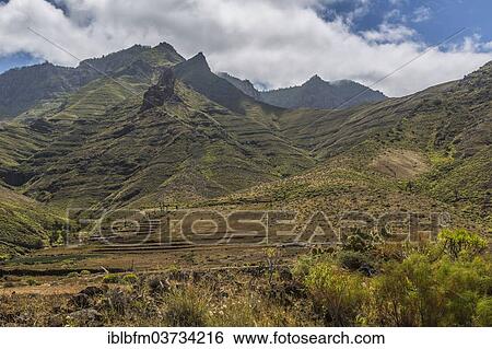 "Valle de Agaete valley, Agaete, Gran Canaria, Canary Islands, Spain, Europe" View Large Photo Image Stock Photograph - "Valle de Agaete valley, Agaete, Gran Canaria, Canary Islands, Spain, Europe". Fotosearch