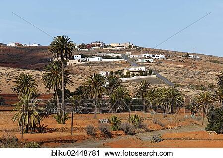 "Valles de Ortega, Fuerteventura, Canary Islands, Spain, Europe" View Large Photo Image Stock Image - "Valles de Ortega, Fuerteventura, Canary Islands, Spain, Europe". Fotosearch