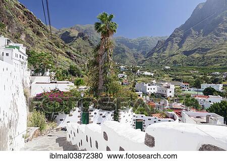 "Valley of Agaete or Valle de Agaete, Gran Canaria, Canary Islands, Spain, Europe" View Large Photo Image Stock Image - "Valley of Agaete or Valle de Agaete, Gran Canaria, Canary Islands, Spain, Europe". Fotosearch