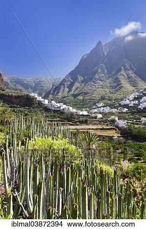 Picture - "Valley of Agaete, Valle de Agaete, Gran Canaria, Canary Islands, Spain, Europe". Fotosearch