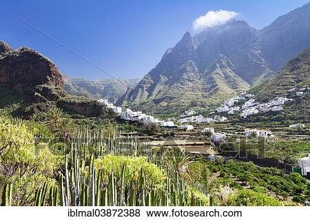 "Valley of Agaete, Valle de Agaete, Gran Canaria, Canary Islands, Spain, Europe" View Large Photo Image Stock Photo - "Valley of Agaete, Valle de Agaete, Gran Canaria, Canary Islands, Spain, Europe". Fotosearch