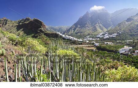 Stock Photo - "Valley of Agaete, Valle de Agaete, Gran Canaria, Canary Islands, Spain, Europe". Fotosearch