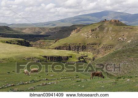 "Valley of the Arpa River or Arpa Cayi, border river to Armenia, former Armenian capital Ani, Kars, Silk Route, Eastern Anatolia Region, Anatolia, Turkey, Asia" View Large Photo Image Stock Photo - "Valley of the Arpa River or Arpa Cayi, border river to Armenia, former Armenian capital Ani, Kars, Silk Route, Eastern Anatolia Region, Anatolia, Turkey, Asia". Fotosearch