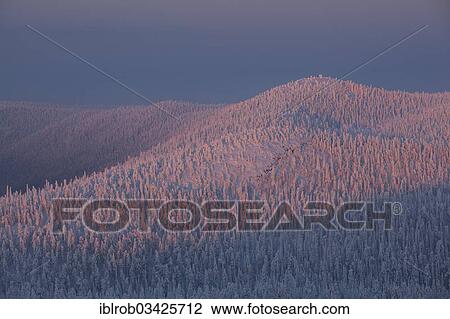 "Valtavaara in winter, view from Rukatunturi Mountain, Valtavaara-Pyhavaara Nature Reserve, Kuusamo, Northern Ostrobothnia, Finland, Europe" View Large Photo Image Stock Image - "Valtavaara in winter, view from Rukatunturi Mountain, Valtavaara-Pyhavaara Nature Reserve, Kuusamo, Northern Ostrobothnia, Finland, Europe". Fotosearch