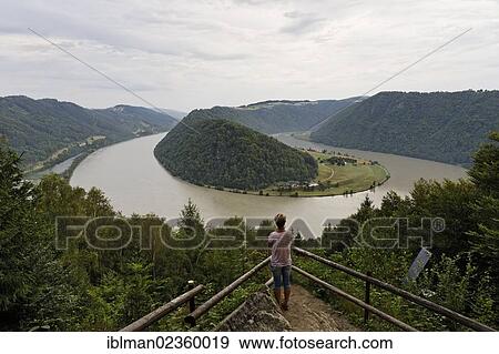 Stock Photo - "Vantage point over the Danube River at the Schloegen Loop, municipality of Haibach ob der Donau, Hausruckviertel region, Upper Austria, Austria, Europe". Fotosearch