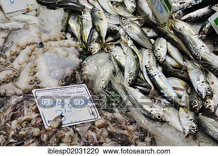 Stock Image - "Various fresh fish, market halls, Mercat de la Boqueria, La Rambla, Barcelona, Catalonia, Spain, Europe". Fotosearch