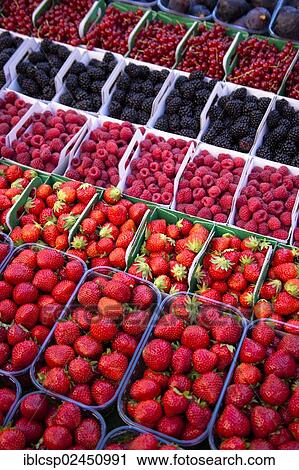 "Various types of berries, displayed at food market, in Sault, Vaucluse, Provence, France, Europe" View Large Photo Image Stock Image - "Various types of berries, displayed at food market, in Sault, Vaucluse, Provence, France, Europe". Fotosearch