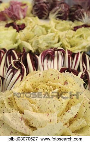 "Various types of lettuce at a stand at Fruit Logistica, Berlin, Berlin, Berlin, Germany, Europe" View Large Photo Image Stock Photo - "Various types of lettuce at a stand at Fruit Logistica, Berlin, Berlin, Berlin, Germany, Europe". Fotosearch