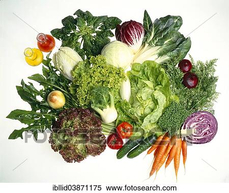 Stock Photography - "Various types of lettuce or salad and vegetables, wine vinegar, olive oil". Fotosearch