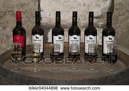 Various Types Of Sherry At The Osborne Winery El Puerto De Santa Maria Costa De La Luz Andalusia Spain Europe Stock Photo Iblkkr04044898 Fotosearch