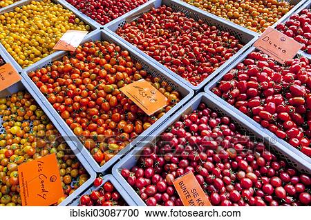 "Various types of tomatoes on a market stall, Hamburg, Hamburg, Germany, Europe" View Large Photo Image Stock Image - "Various types of tomatoes on a market stall, Hamburg, Hamburg, Germany, Europe". Fotosearch