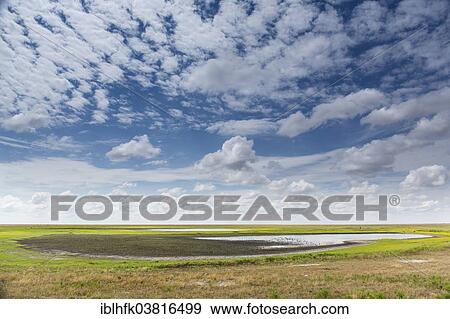 "Vast landscape, Liuwa Plains National Park, north western Zambia" View Large Photo Image Stock Photo - "Vast landscape, Liuwa Plains National Park, north western Zambia". Fotosearch