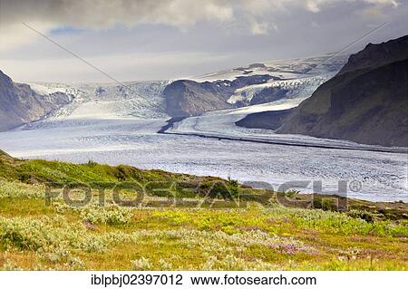 "Vatnajoekull glacier tongue, Skaftafell, South Iceland, Iceland, Europe" View Large Photo Image Stock Image - "Vatnajoekull glacier tongue, Skaftafell, South Iceland, Iceland, Europe". Fotosearch