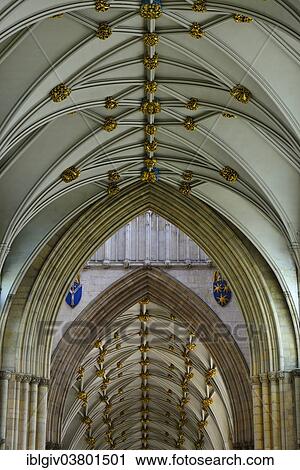 "Vaulted ceiling of York Minster, formal title """"Cathedral and Metropolitical Church of St Peter"""", York, North Yorkshire, England, United Kingdom, Europe" View Large Photo Image Stock Image - "Vaulted ceiling of York Minster, formal title """"Cathedral and Metropolitical Church of St Peter"""", York, North Yorkshire, England, United Kingdom, Europe". Fotosearch