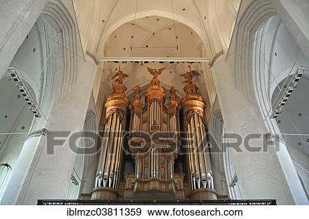 Stock Photo - "Vaulted ceiling with Flentrop organ, Church of Saint Catherine, Hamburg, Germany, Europe". Fotosearch