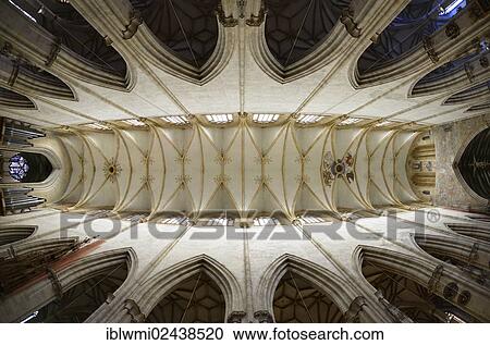 "Vaulting, view of the vaulted ceiling, nave, interior, Ulm Minster, Ulm, Baden-Wuerttemberg, Germany, Europe" View Large Photo Image Stock Image - "Vaulting, view of the vaulted ceiling, nave, interior, Ulm Minster, Ulm, Baden-Wuerttemberg, Germany, Europe". Fotosearch