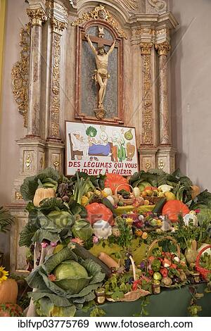 "Vegetable offerings at the altar in the Church of St. Epvre during the """"Fete de la choucroute"""" Sauerkraut Festival, Krautergersheim, Departement Bas-Rhin, Alsace, France, Europe" View Large Photo Image Stock Photo - "Vegetable offerings at the altar in the Church of St. Epvre during the """"Fete de la choucroute"""" Sauerkraut Festival, Krautergersheim, Departement Bas-Rhin, Alsace, France, Europe". Fotosearch