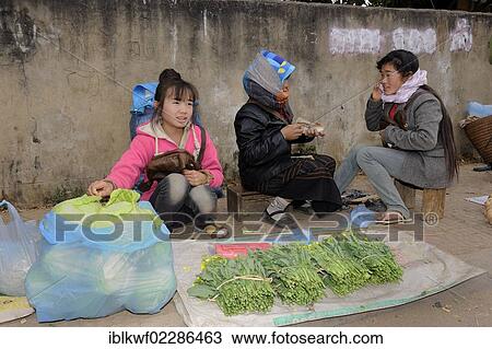 "Vegetable sellers on the market in Phonsavan, Laos, Southeast Asia, Asia" View Large Photo Image Stock Image - "Vegetable sellers on the market in Phonsavan, Laos, Southeast Asia, Asia". Fotosearch