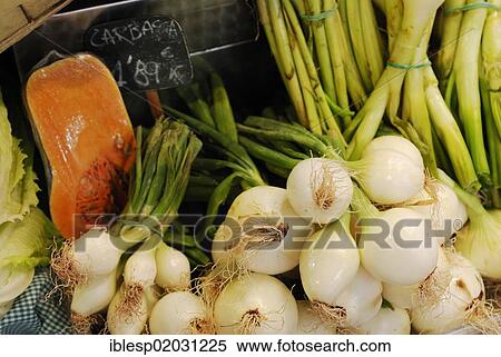 "Vegetables, onions, pumpkin or squash, green onions, onion leeks, covered market, Mercat de la Boqueria, La Rambla, Barcelona, Catalonia, Spain, Europe" View Large Photo Image Stock Photography - "Vegetables, onions, pumpkin or squash, green onions, onion leeks, covered market, Mercat de la Boqueria, La Rambla, Barcelona, Catalonia, Spain, Europe". Fotosearch