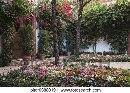 "Verdant patio in the mansion Casa de Pilatos, Seville, Seville province, Andalusia, Spain, Europe" View Large Photo Image Stock Image - "Verdant patio in the mansion Casa de Pilatos, Seville, Seville province, Andalusia, Spain, Europe". Fotosearch
