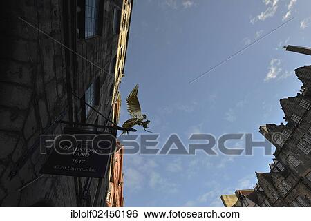 "Victorian town houses, row of commercial buildings with a sculpture of a golden bird catching a mouse, Royal Mile, Edinburgh, Scotland, United Kingdom, Europe" View Large Photo Image Stock Photograph - "Victorian town houses, row of commercial buildings with a sculpture of a golden bird catching a mouse, Royal Mile, Edinburgh, Scotland, United Kingdom, Europe". Fotosearch