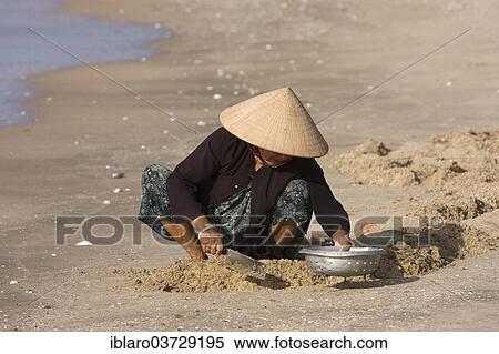 "Vietnamese woman looking for crabs on the beach, Mũi Ne, Vietnam, Asia" View Large Photo Image Stock Photography - "Vietnamese woman looking for crabs on the beach, Mũi Ne, Vietnam, Asia". Fotosearch