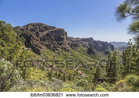 Stock Image - "View from a hiking trail near Roque Nublo, mountain landscape, Gran Canaria, Canary Islands, Spain, Europe". Fotosearch