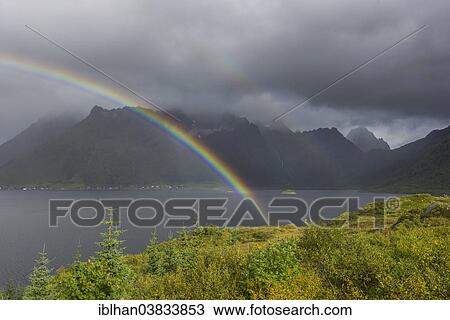 "View from a lookout towards mountains and a fjord, with a rainbow, Lofoten, Nordland, Norway, Europe" View Large Photo Image Stock Image - "View from a lookout towards mountains and a fjord, with a rainbow, Lofoten, Nordland, Norway, Europe". Fotosearch