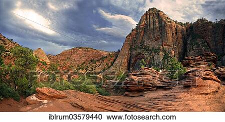 "View from Canyon Overlook in the evening light, Zion National Park, Utah, United States, North America" View Large Photo Image Stock Image - "View from Canyon Overlook in the evening light, Zion National Park, Utah, United States, North America". Fotosearch