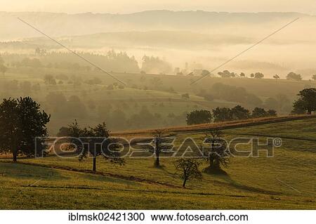 View from Dinkelberg mountain, near Minseln, Rheinfelden - Baden, Baden-Wuerttemberg, Germany, Europe View Large Photo Image Stock Image - View from Dinkelberg mountain, near Minseln, Rheinfelden - Baden, Baden-Wuerttemberg, Germany, Europe. Fotosearch