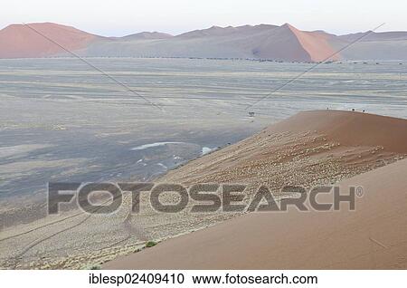 Stock Image - "View from Dune 45 on a desert landscape with dunes at dawn, Tsauchab-Tal, Sossusvlei, Namib-Naukluft-Park, Namib-Wuste, Namibia, Africa". Fotosearch