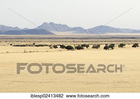 View from Elim Dune, Namib-Naukluft-Park, Namib-Wuste, Namibia, Africa View Large Photo Image Stock Image - View from Elim Dune, Namib-Naukluft-Park, Namib-Wuste, Namibia, Africa. Fotosearch
