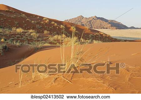 View from Elim Dune towards the Naukluft Mountains, Namib-Naukluft-Park, Namib-Wuste, Namibia, Africa View Large Photo Image Stock Image - View from Elim Dune towards the Naukluft Mountains, Namib-Naukluft-Park, Namib-Wuste, Namibia, Africa. Fotosearch
