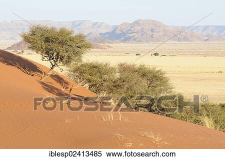 Stock Photography - View from Elim Dune towards the Naukluft Mountains, Namib-Naukluft-Park, Namib-Wuste, Namibia, Africa. Fotosearch