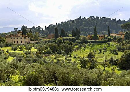 "View from Forte di Belvedere to villas near Florence, Tuscany, Italy, Europe" View Large Photo Image Stock Photography - "View from Forte di Belvedere to villas near Florence, Tuscany, Italy, Europe". Fotosearch