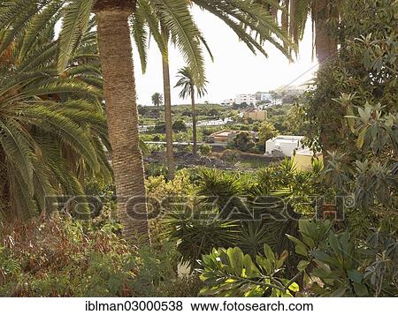 Stock Photo - "View from La Calera towards La Playa, Valle Gran Rey valley, La Gomera, Valle Gran Rey, Canary Islands, Spain, Europe". Fotosearch