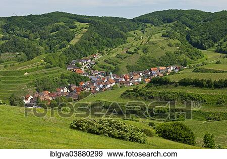"View from Mt Badberg of the village of Schelingen, Vogtsburg, Kaiserstuhl mountain range, Baden-Wurttemberg, Germany, Europe" View Large Photo Image Stock Photo - "View from Mt Badberg of the village of Schelingen, Vogtsburg, Kaiserstuhl mountain range, Baden-Wurttemberg, Germany, Europe". Fotosearch